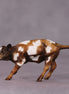 "Toffee Crunch" OOAK Cow Chip By Kike Duarte SHCF25OS