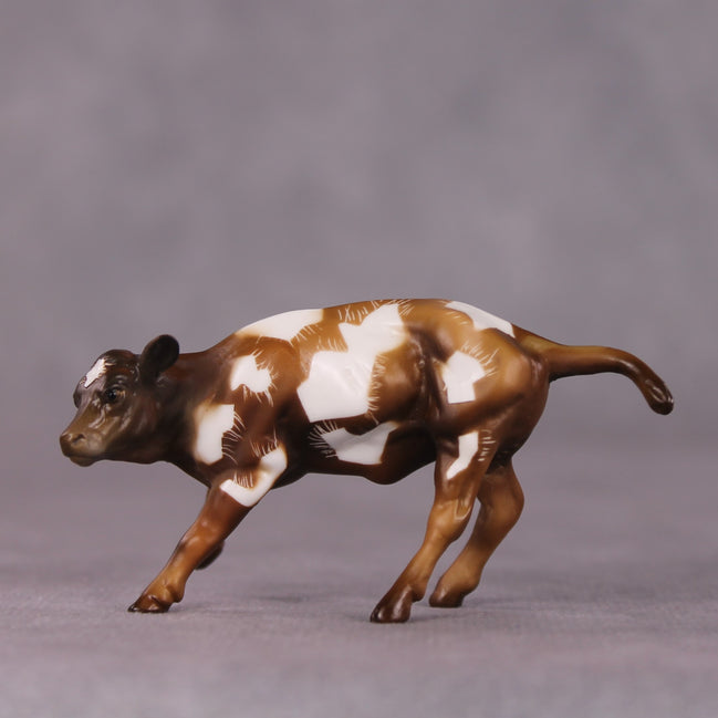"Toffee Crunch" OOAK Cow Chip By Kike Duarte SHCF25OS