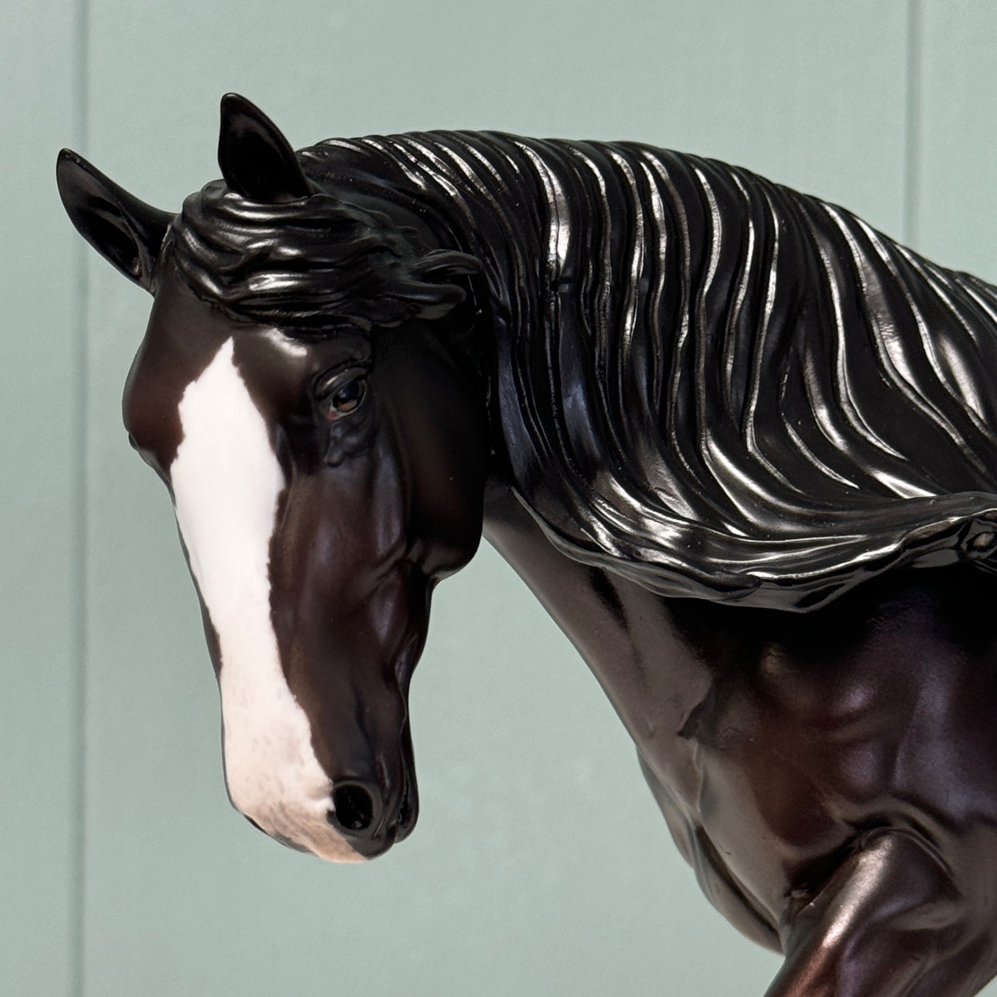 Helvetica OOAK Shaded Black Appaloosa Irish Cob Horse By Jess Hamill EQ24