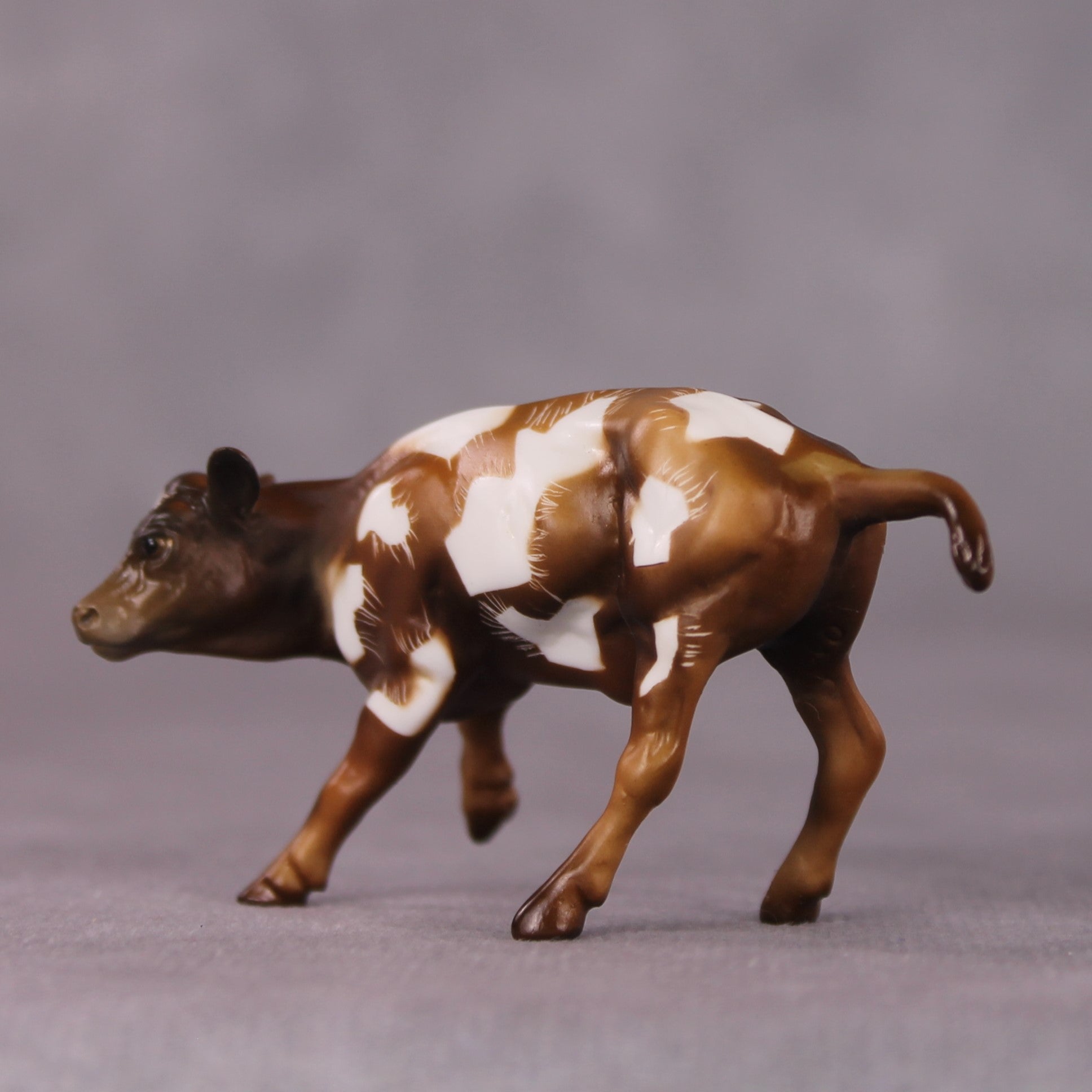 "Toffee Crunch" OOAK Cow Chip By Kike Duarte SHCF25OS