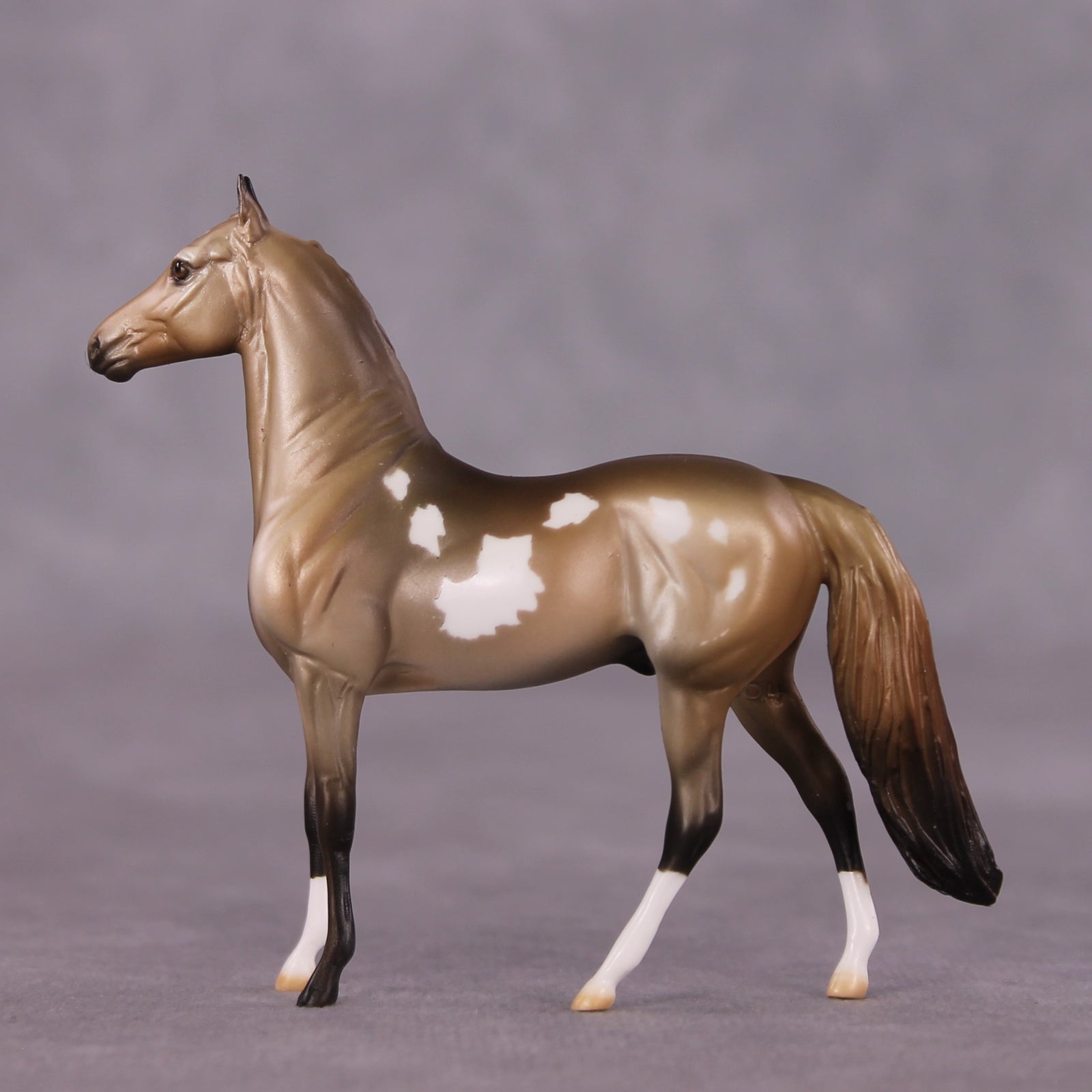 "Vellichor" OOAK Morgan Chip by Dawn Quick SHCF25OS