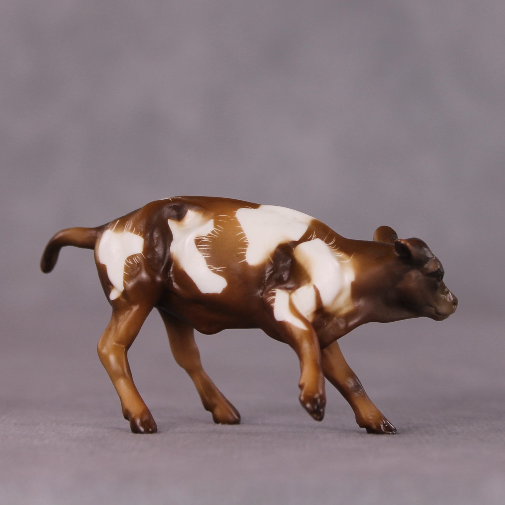 "Toffee Crunch" OOAK Cow Chip By Kike Duarte SHCF25OS