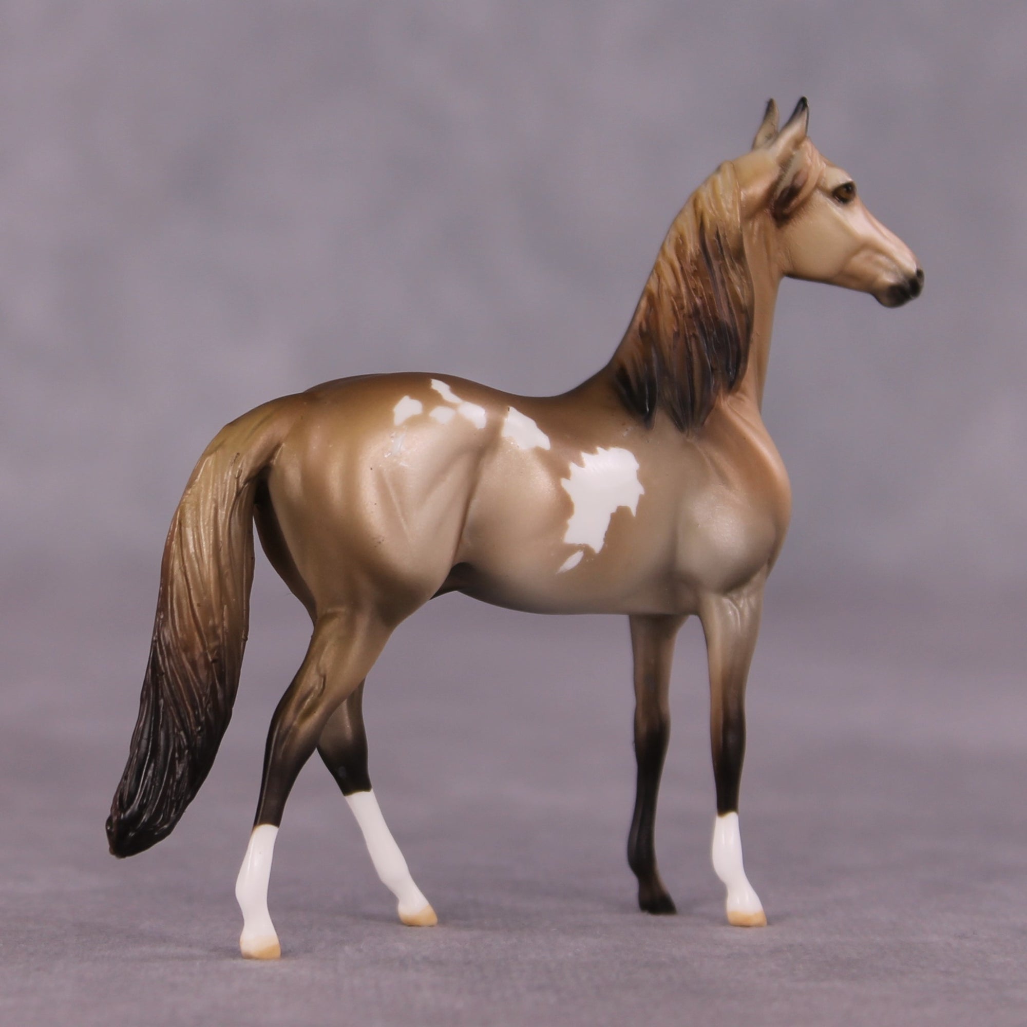 "Vellichor" OOAK Morgan Chip by Dawn Quick SHCF25OS