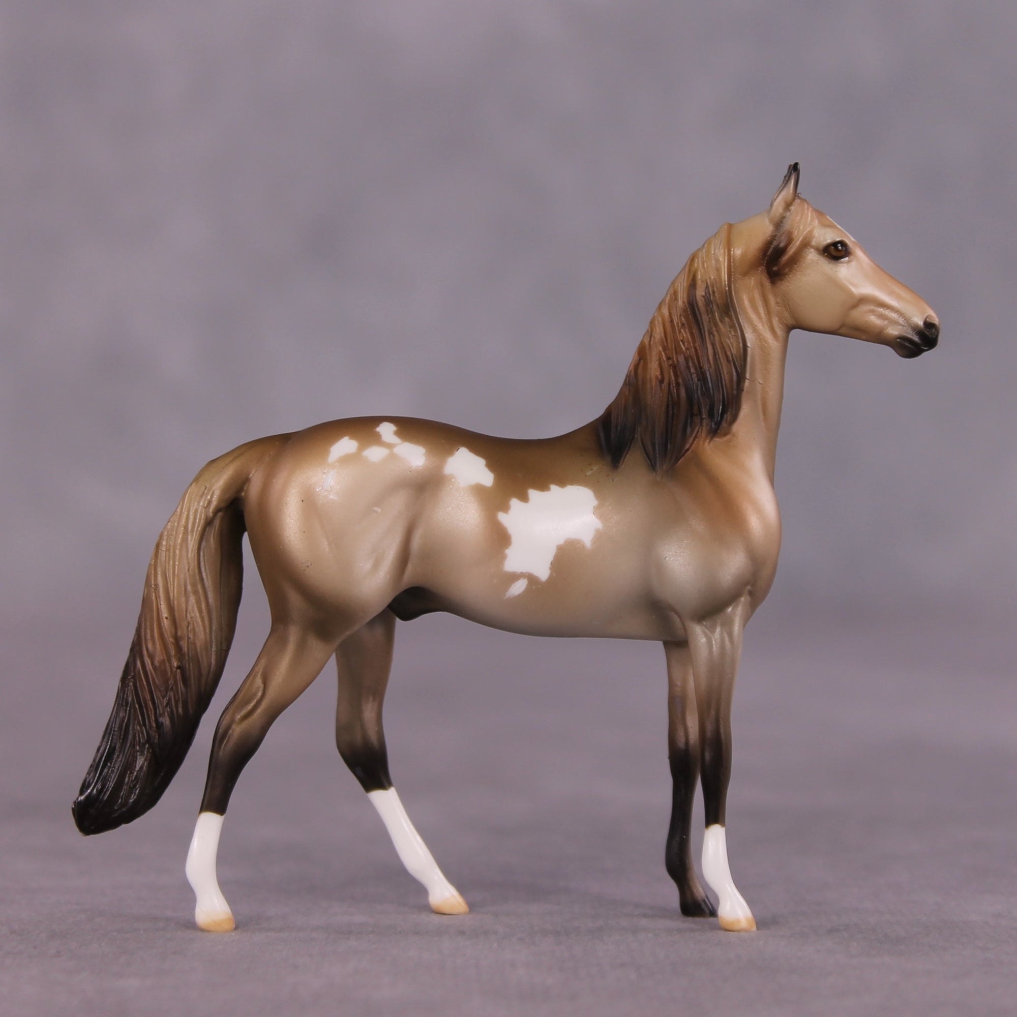 "Vellichor" OOAK Morgan Chip by Dawn Quick SHCF25OS