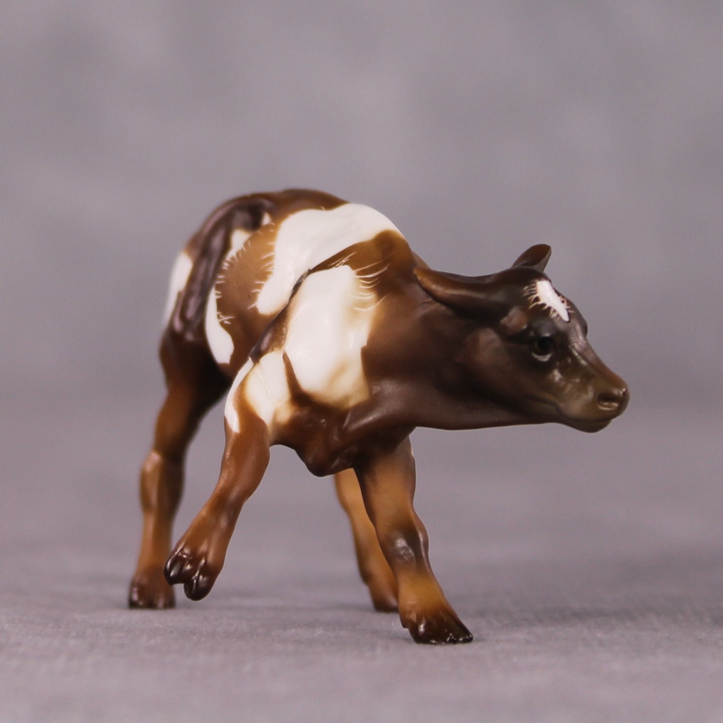 "Toffee Crunch" OOAK Cow Chip By Kike Duarte SHCF25OS