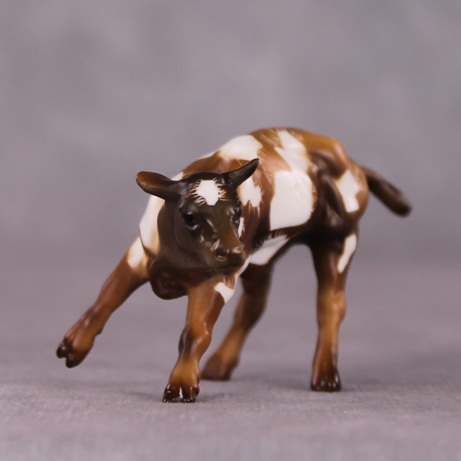 "Toffee Crunch" OOAK Cow Chip By Kike Duarte SHCF25OS
