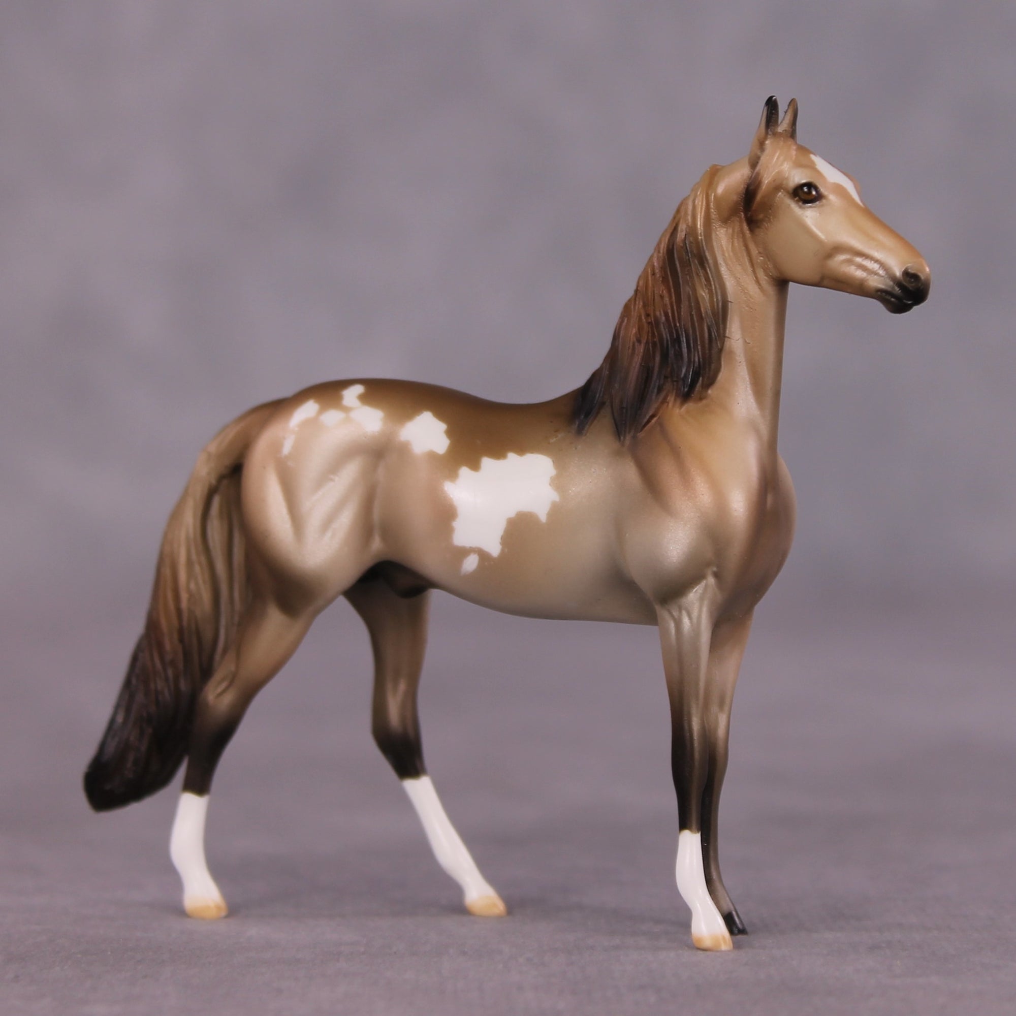 "Vellichor" OOAK Morgan Chip by Dawn Quick SHCF25OS