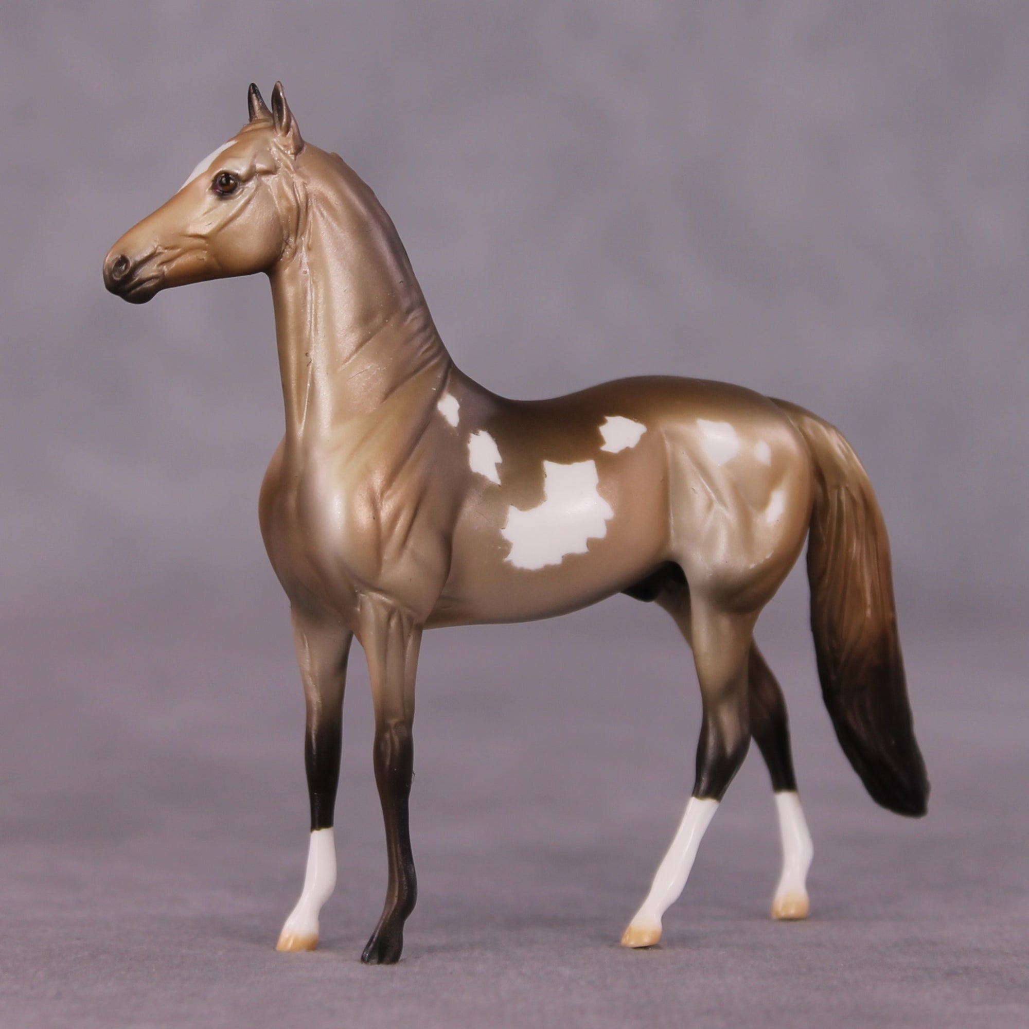 "Vellichor" OOAK Morgan Chip by Dawn Quick SHCF25OS