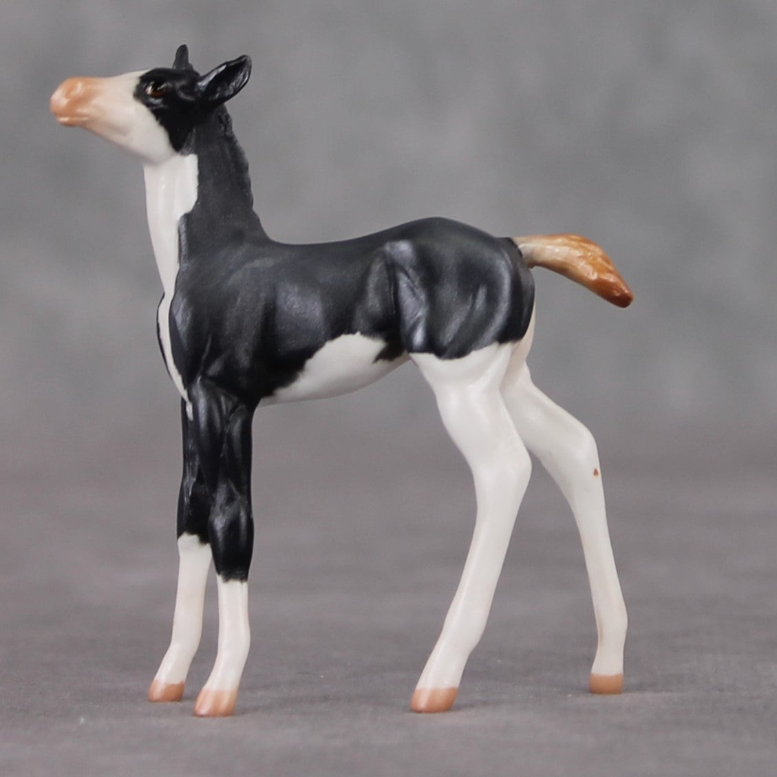 "Mini Audra" Mouse Series OOAK Grey Splash Foal Chip By Jamie Adamson-Secret Surprise Chip Drop