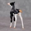 Mini Audra Mouse Series OOAK Grey Splash Foal Chip By Jamie Adamson-Secret Surprise Chip Drop