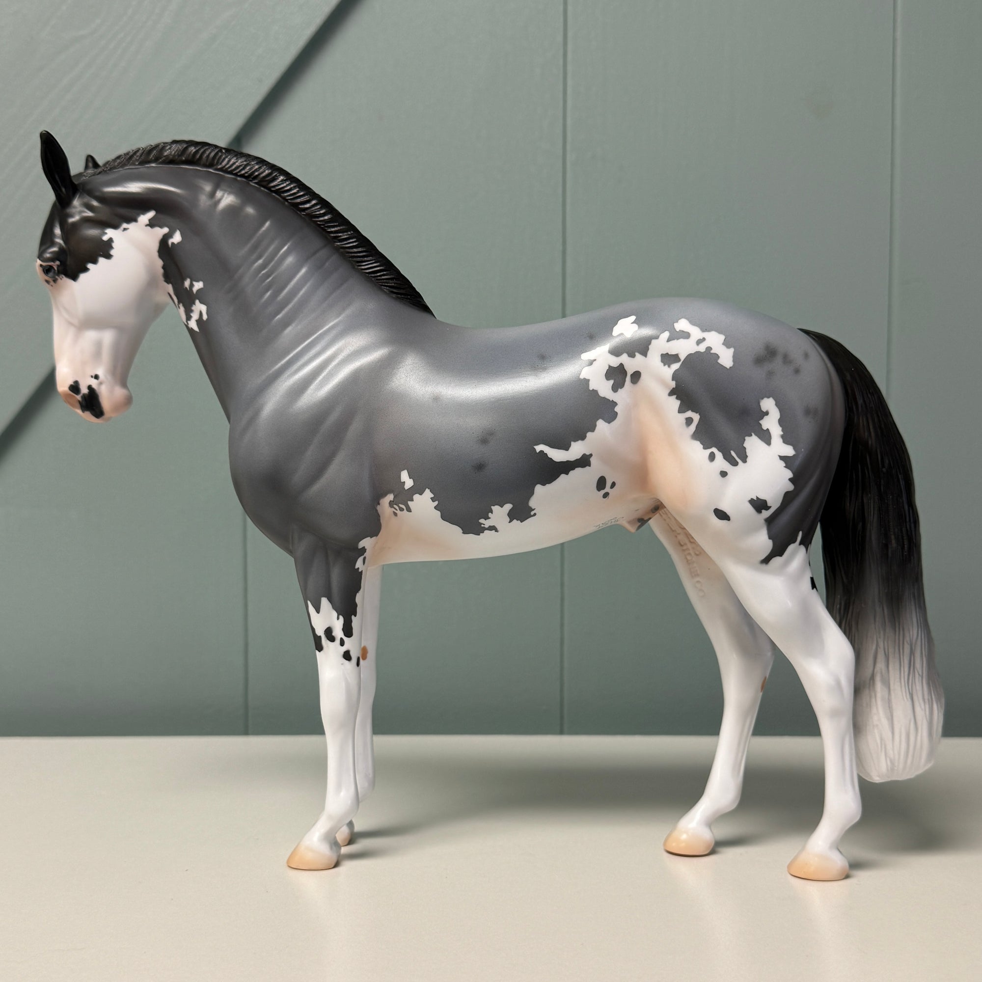 Observatory OOAK Blue Roan Sabino Andalusian By Jess Hamill EQ24