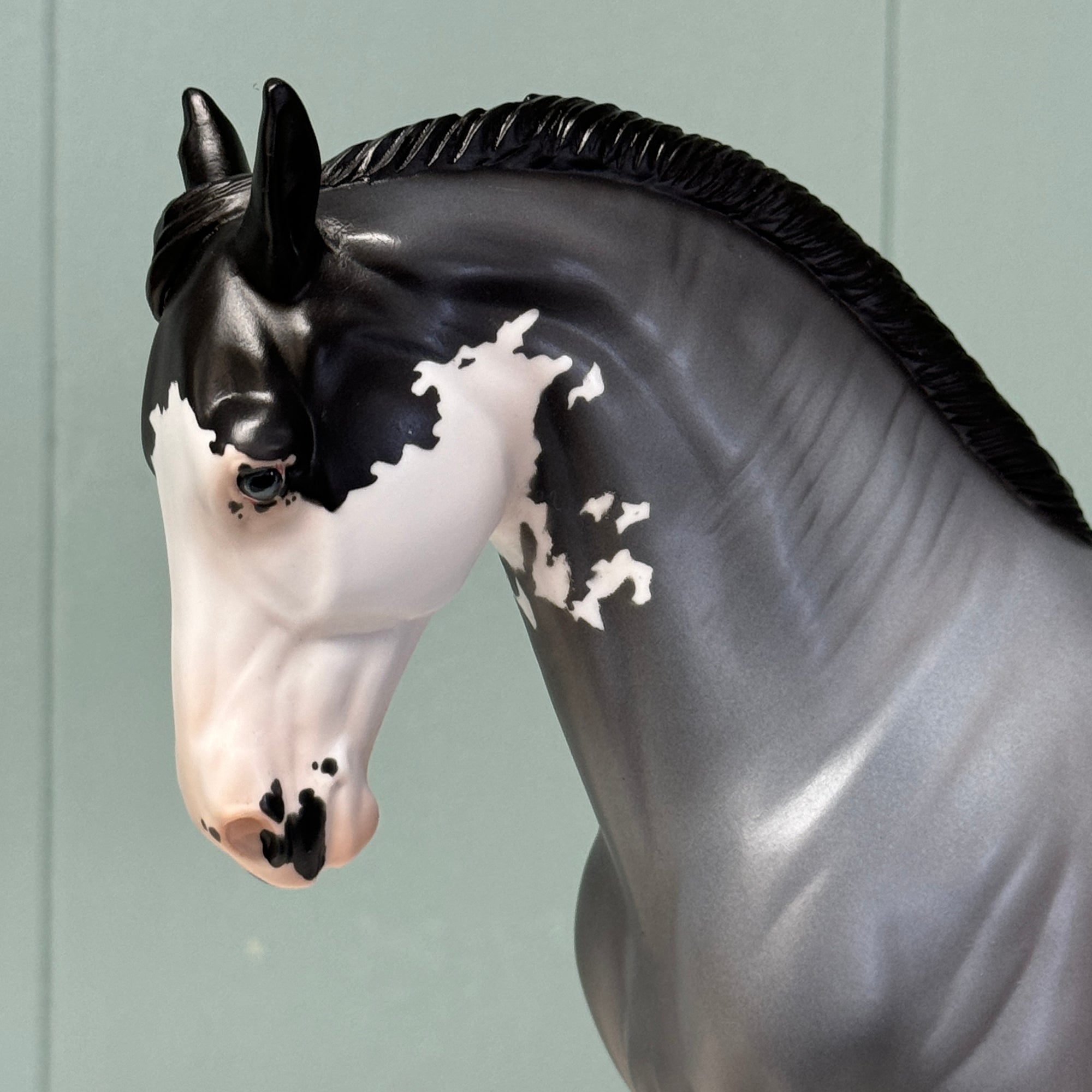 Observatory OOAK Blue Roan Sabino Andalusian By Jess Hamill EQ24