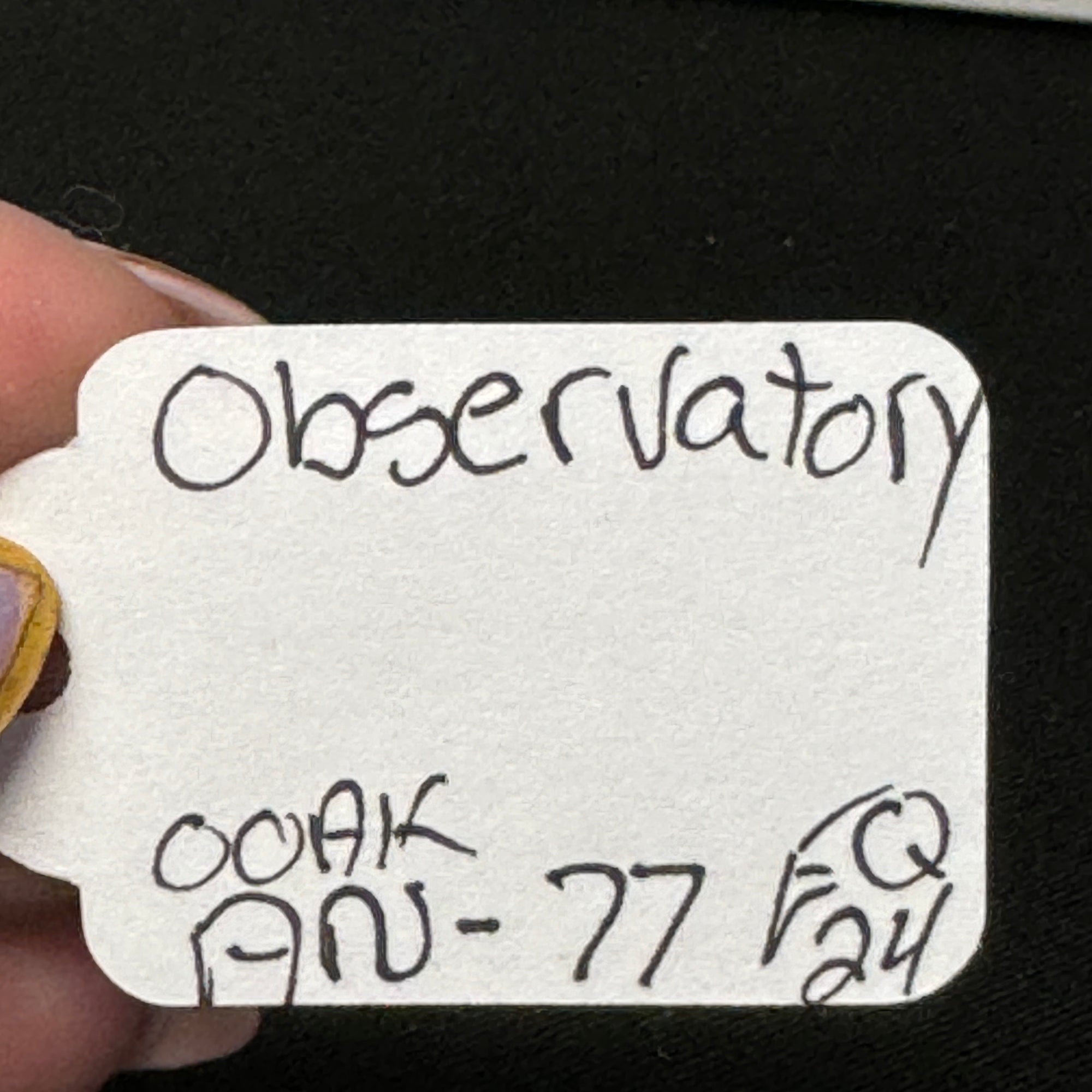 Observatory OOAK Blue Roan Sabino Andalusian By Jess Hamill EQ24