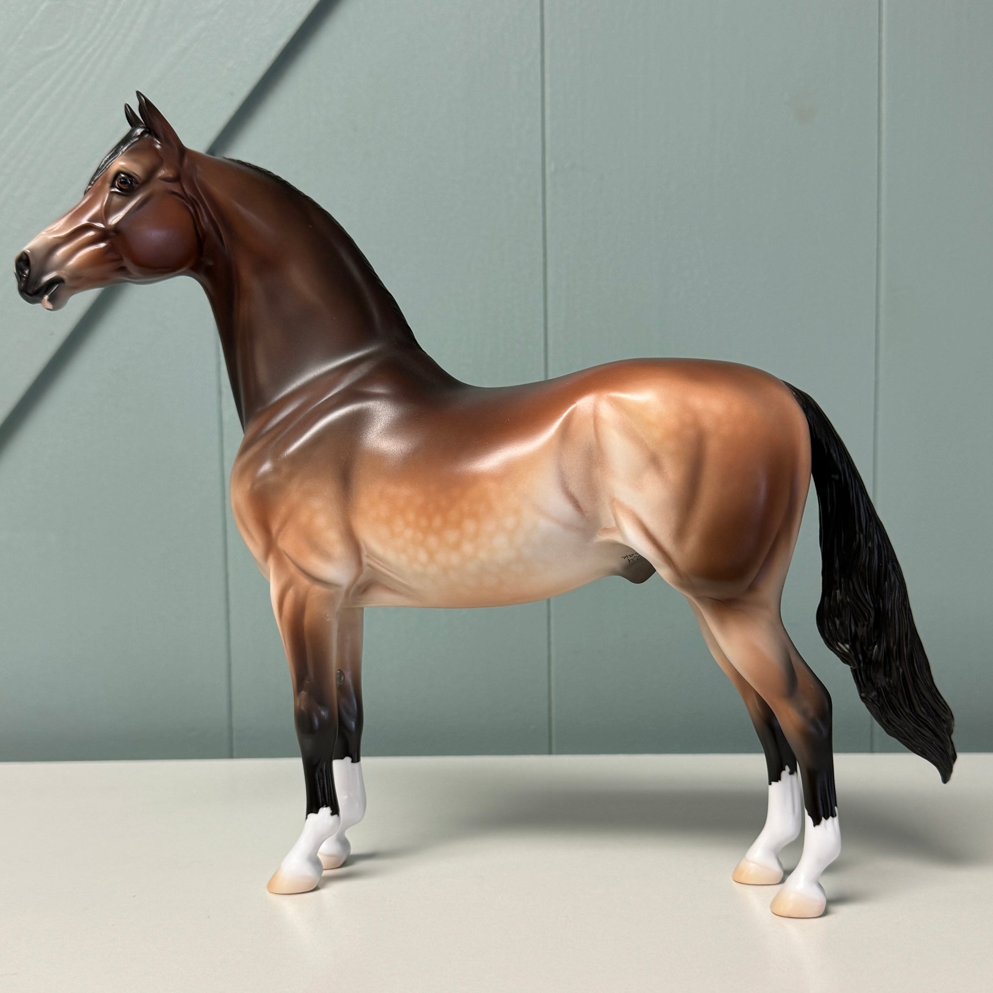 Serif OOAK Dappled Mealy Bay Morgan By Jess Hamill EQ24