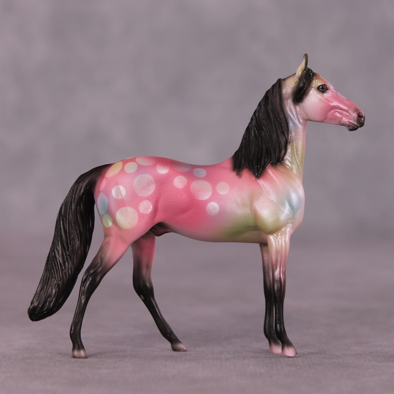 "Sloanie" OOAK Morgan Chip by Dawn Quick SHCF25