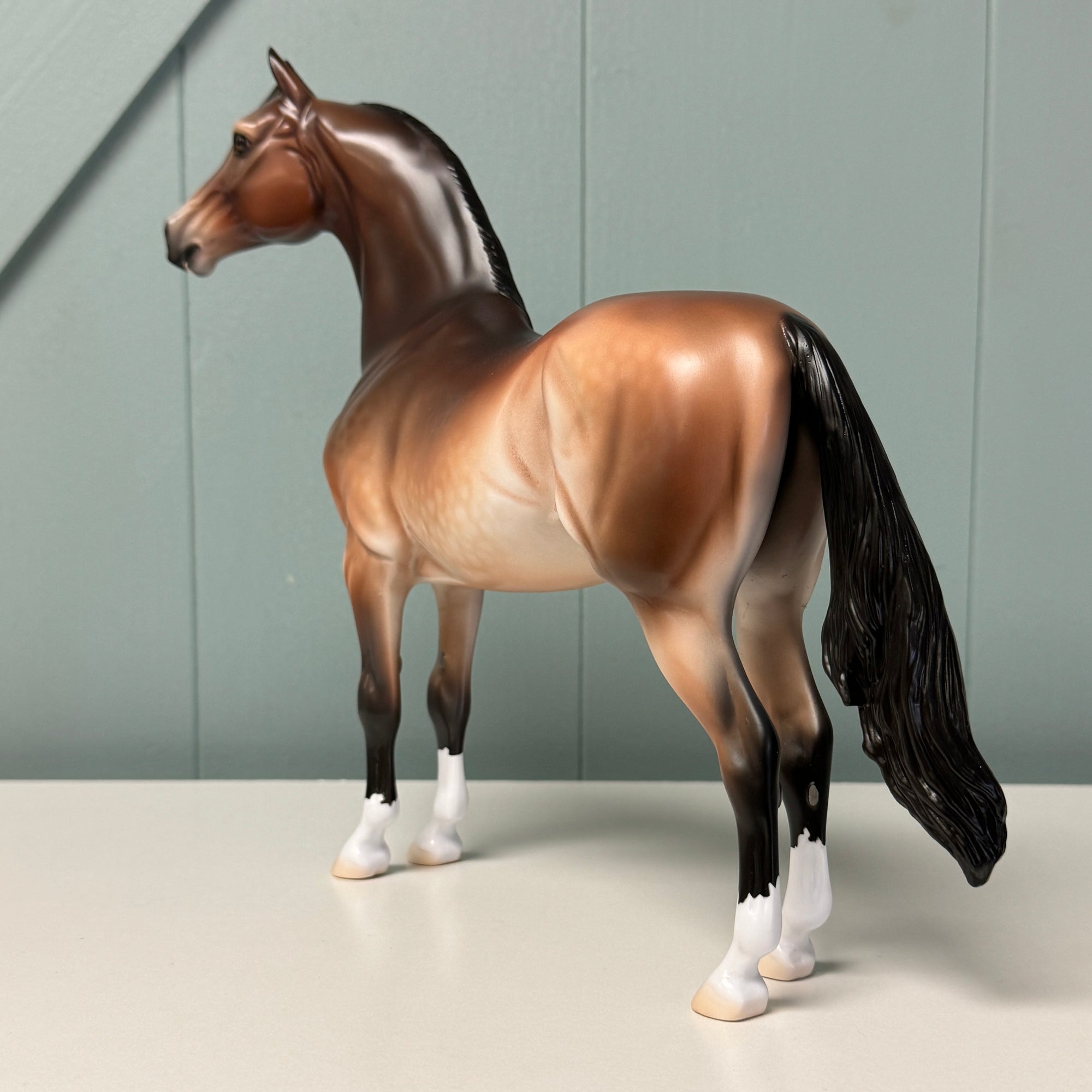 Serif OOAK Dappled Mealy Bay Morgan By Jess Hamill EQ24