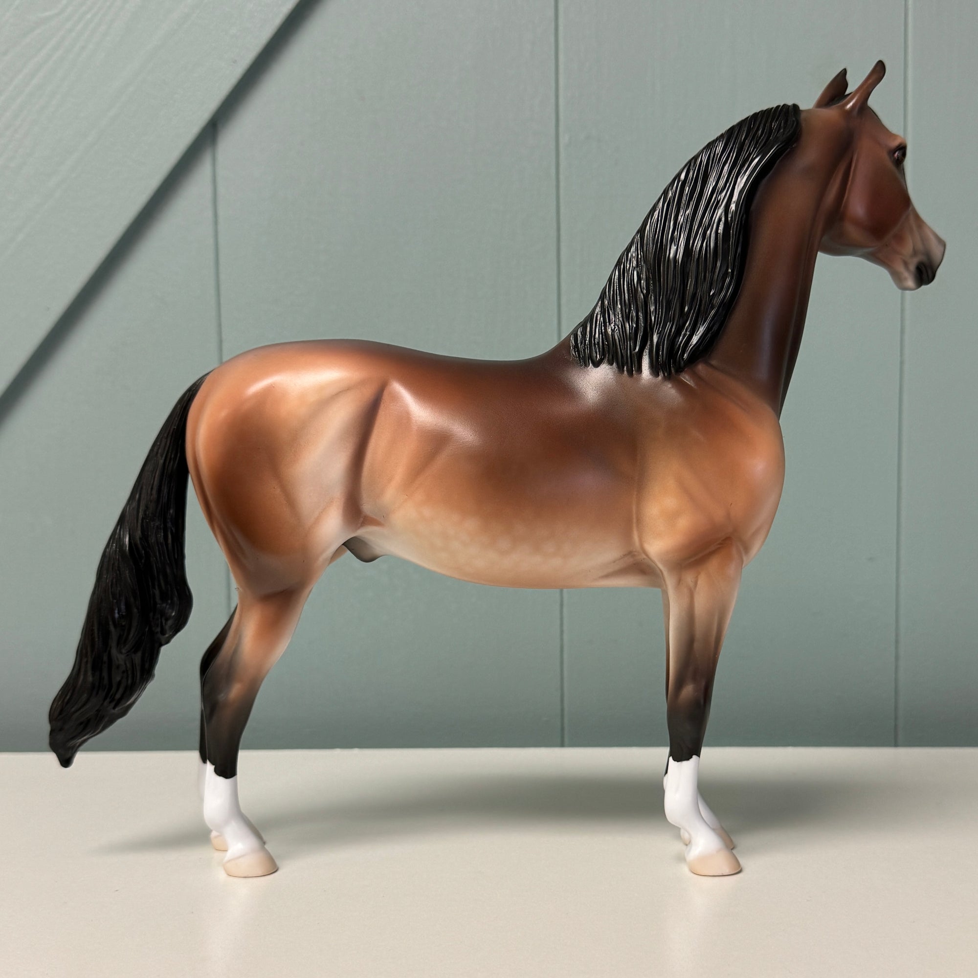 Serif OOAK Dappled Mealy Bay Morgan By Jess Hamill EQ24