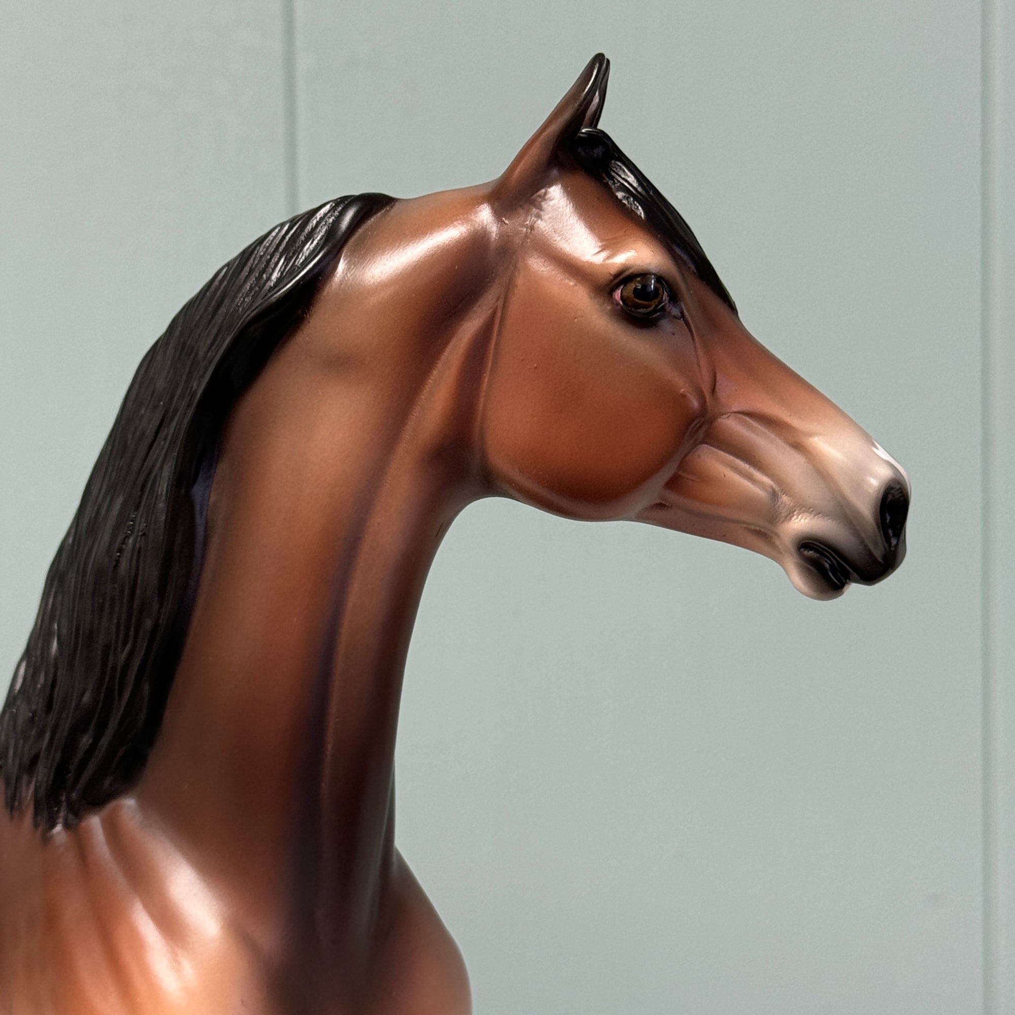 Serif OOAK Dappled Mealy Bay Morgan By Jess Hamill EQ24