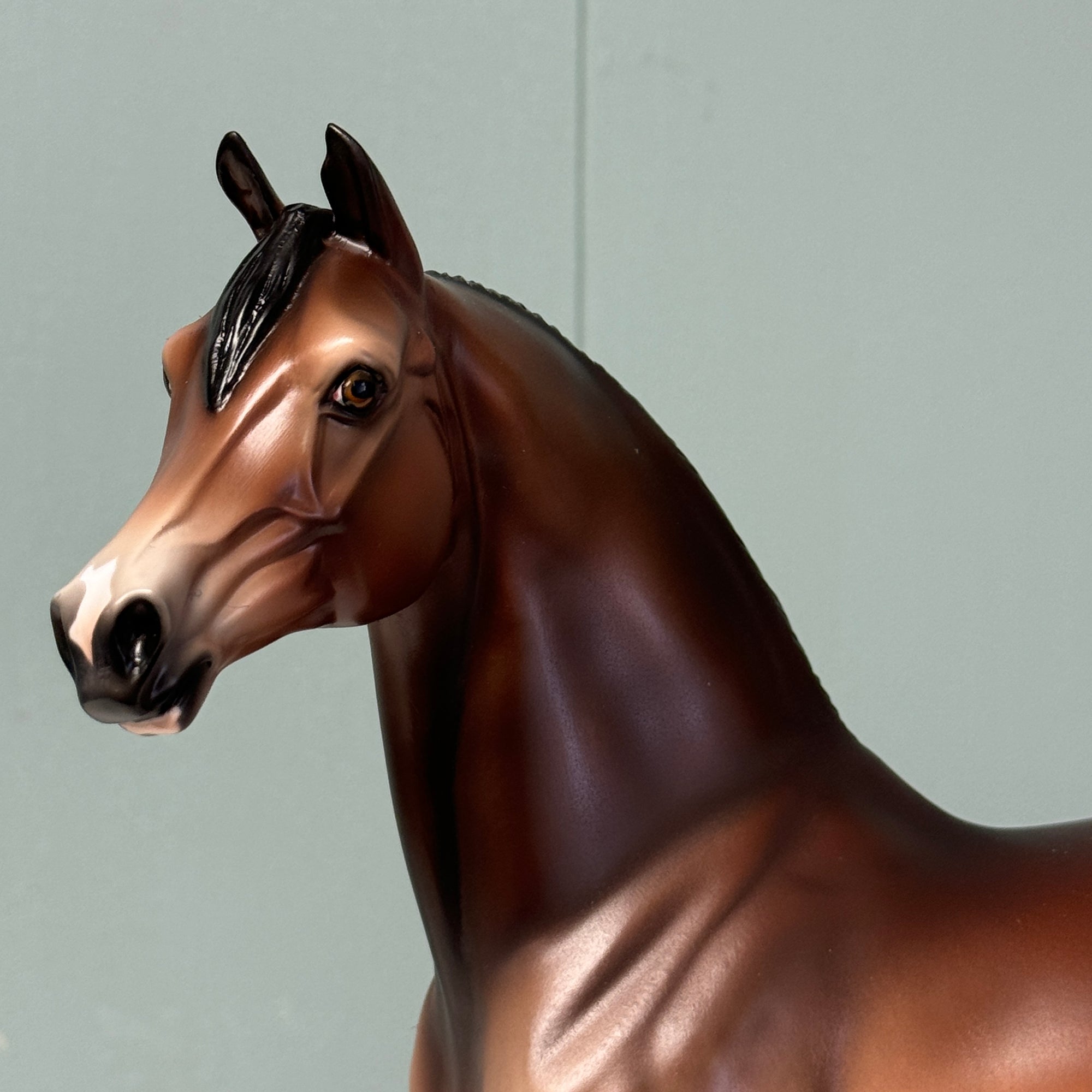 Serif OOAK Dappled Mealy Bay Morgan By Jess Hamill EQ24