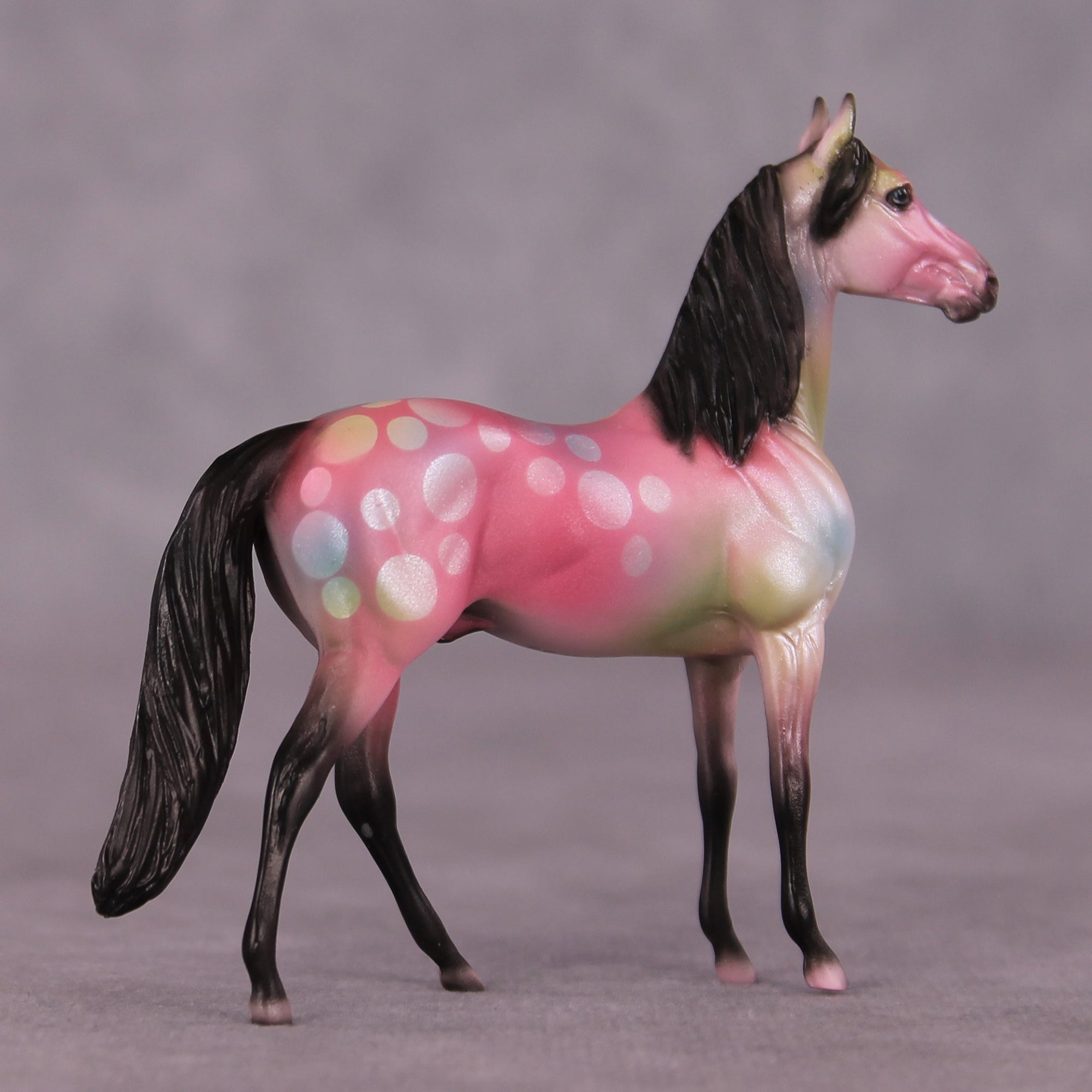 "Sloanie" OOAK Morgan Chip by Dawn Quick SHCF25