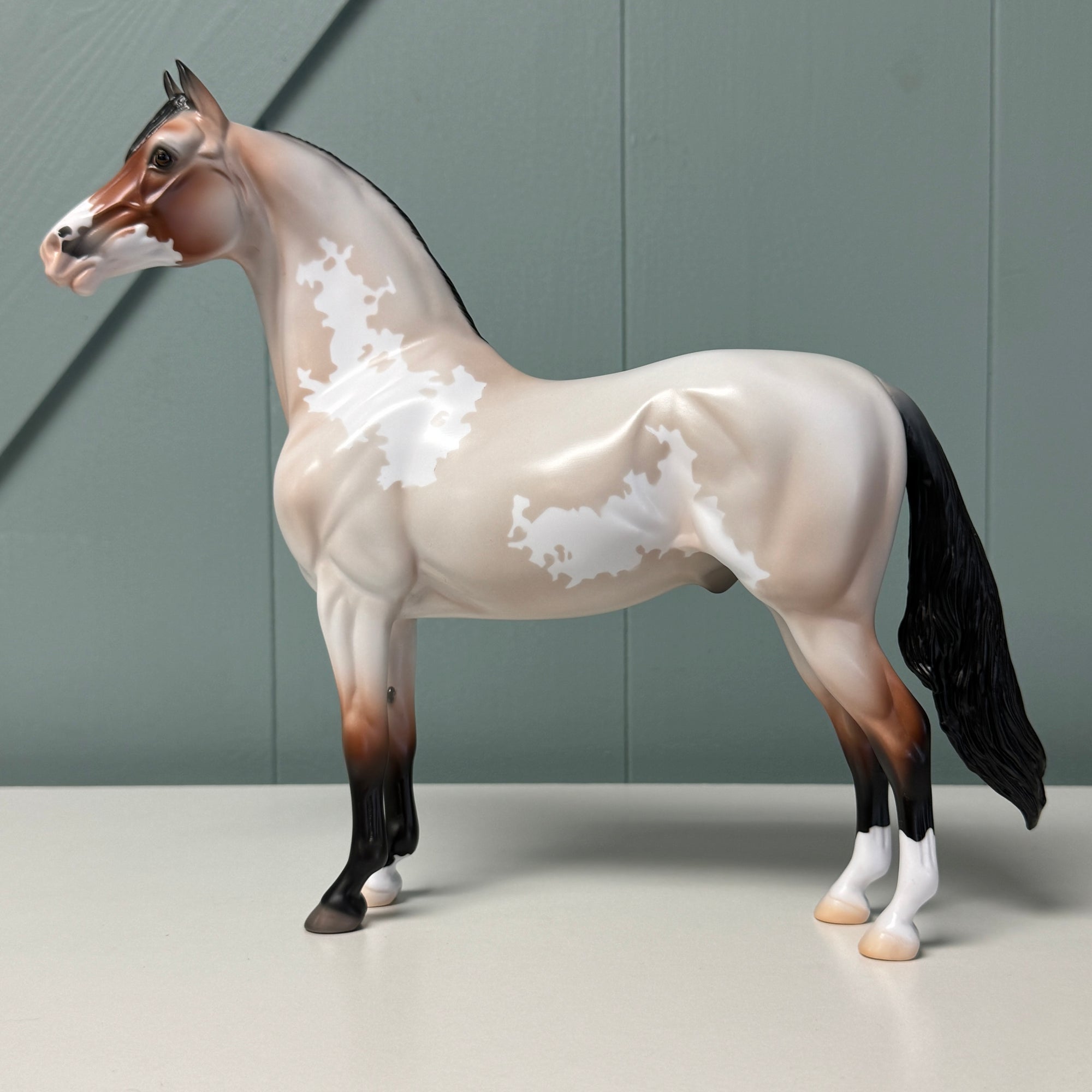 Sans Serif OOAK Bay Roan Overo Morgan By Jess Hamill EQ24