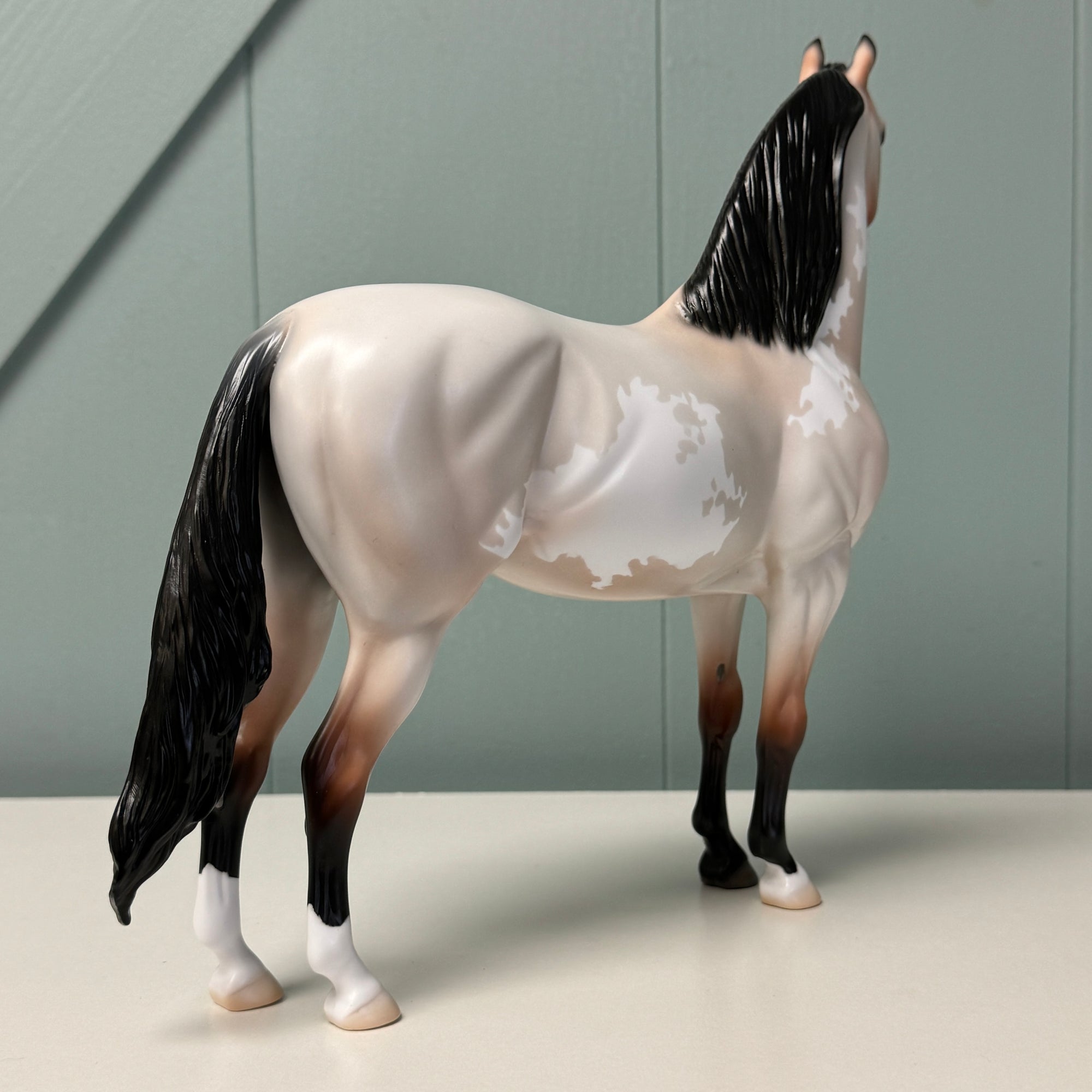 Sans Serif OOAK Bay Roan Overo Morgan By Jess Hamill EQ24