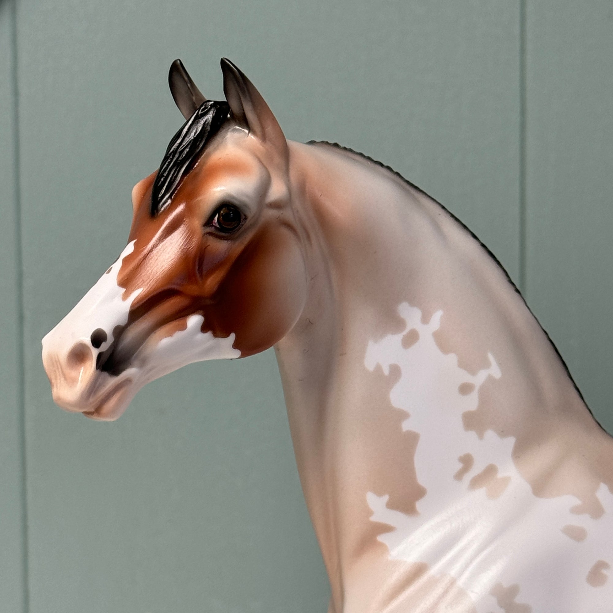 Sans Serif OOAK Bay Roan Overo Morgan By Jess Hamill EQ24