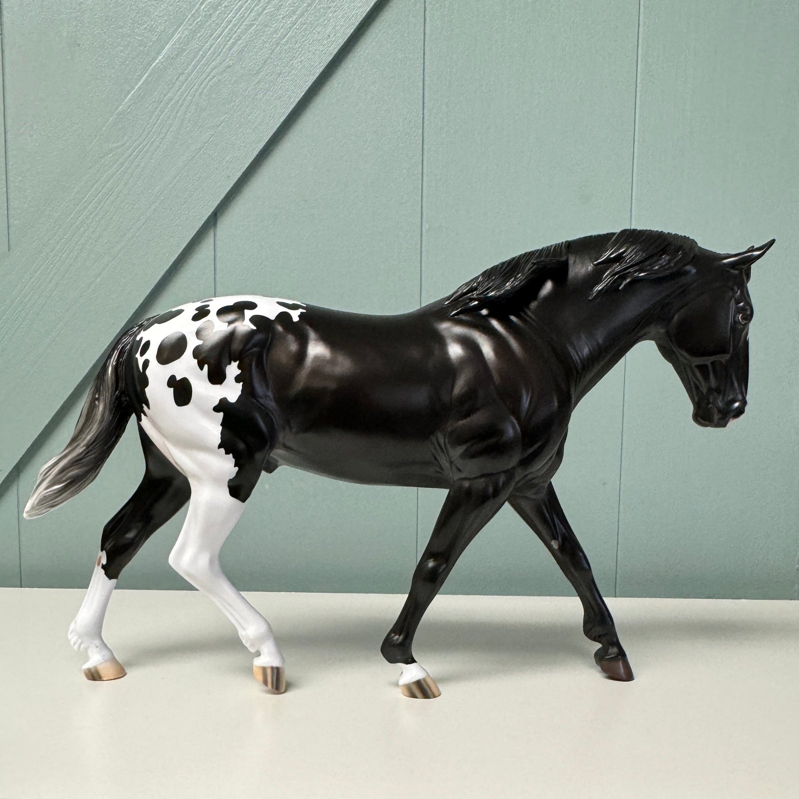 Extrasolar OOAK Black Appaloosa Irish Draught By Jess Hamill EQ24