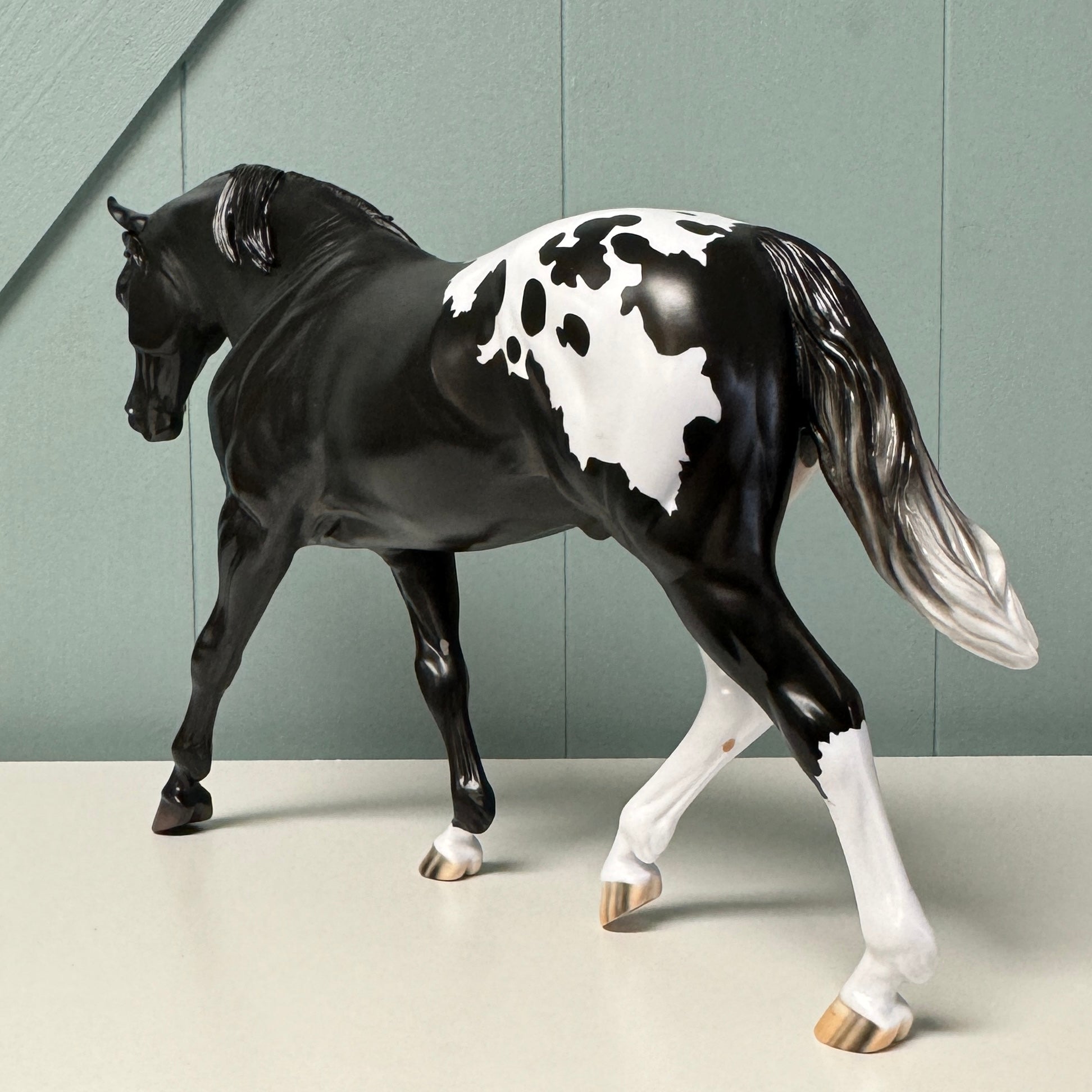 Extrasolar OOAK Black Appaloosa Irish Draught By Jess Hamill EQ24