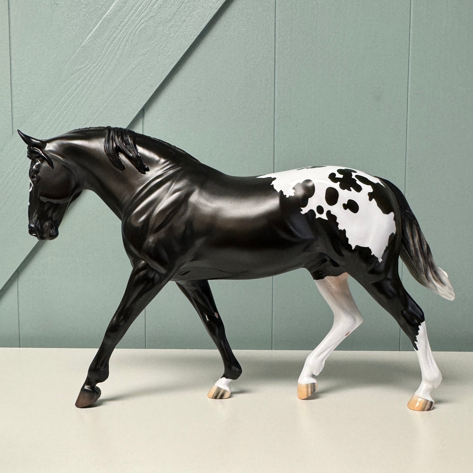 Extrasolar OOAK Black Appaloosa Irish Draught By Jess Hamill EQ24