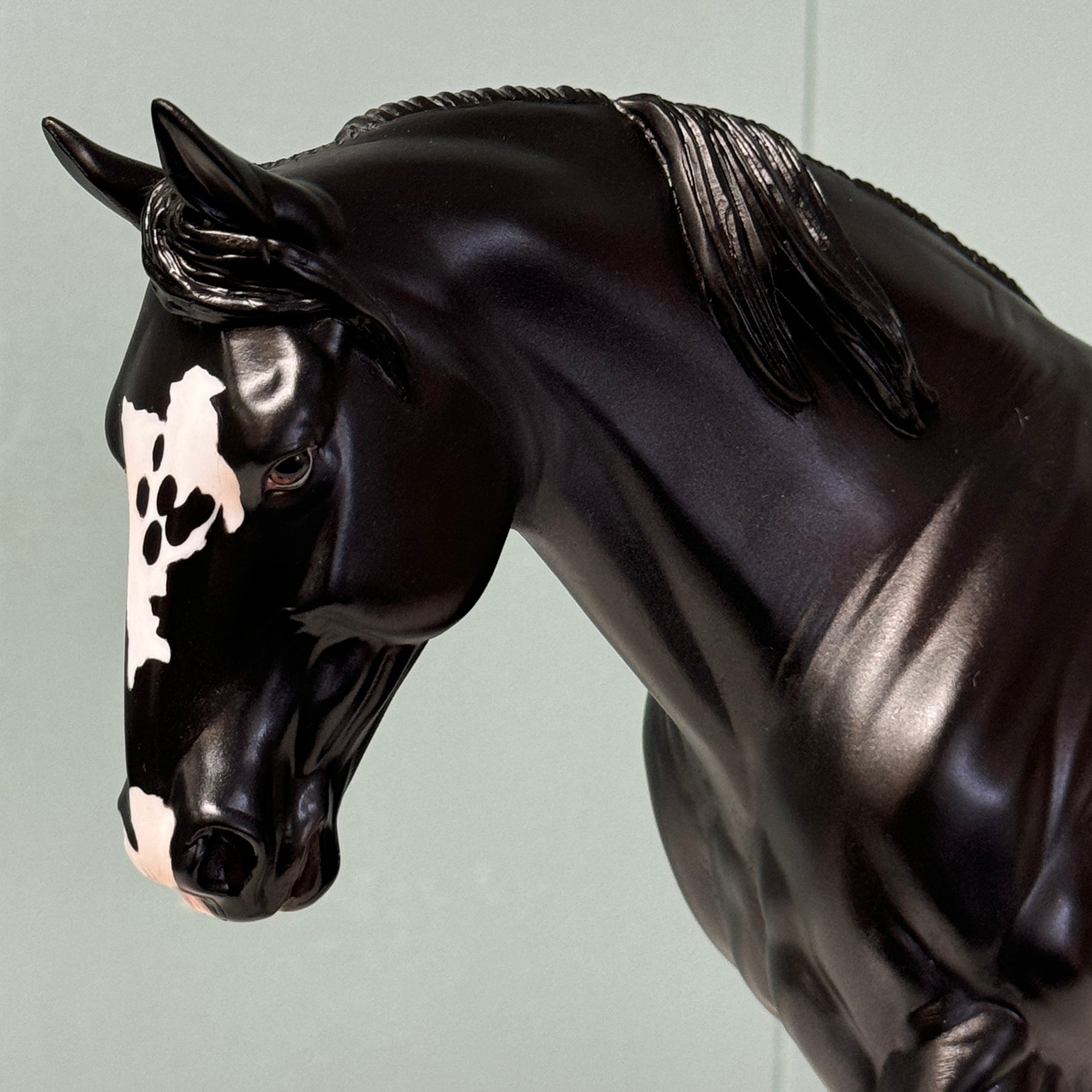 Extrasolar OOAK Black Appaloosa Irish Draught By Jess Hamill EQ24