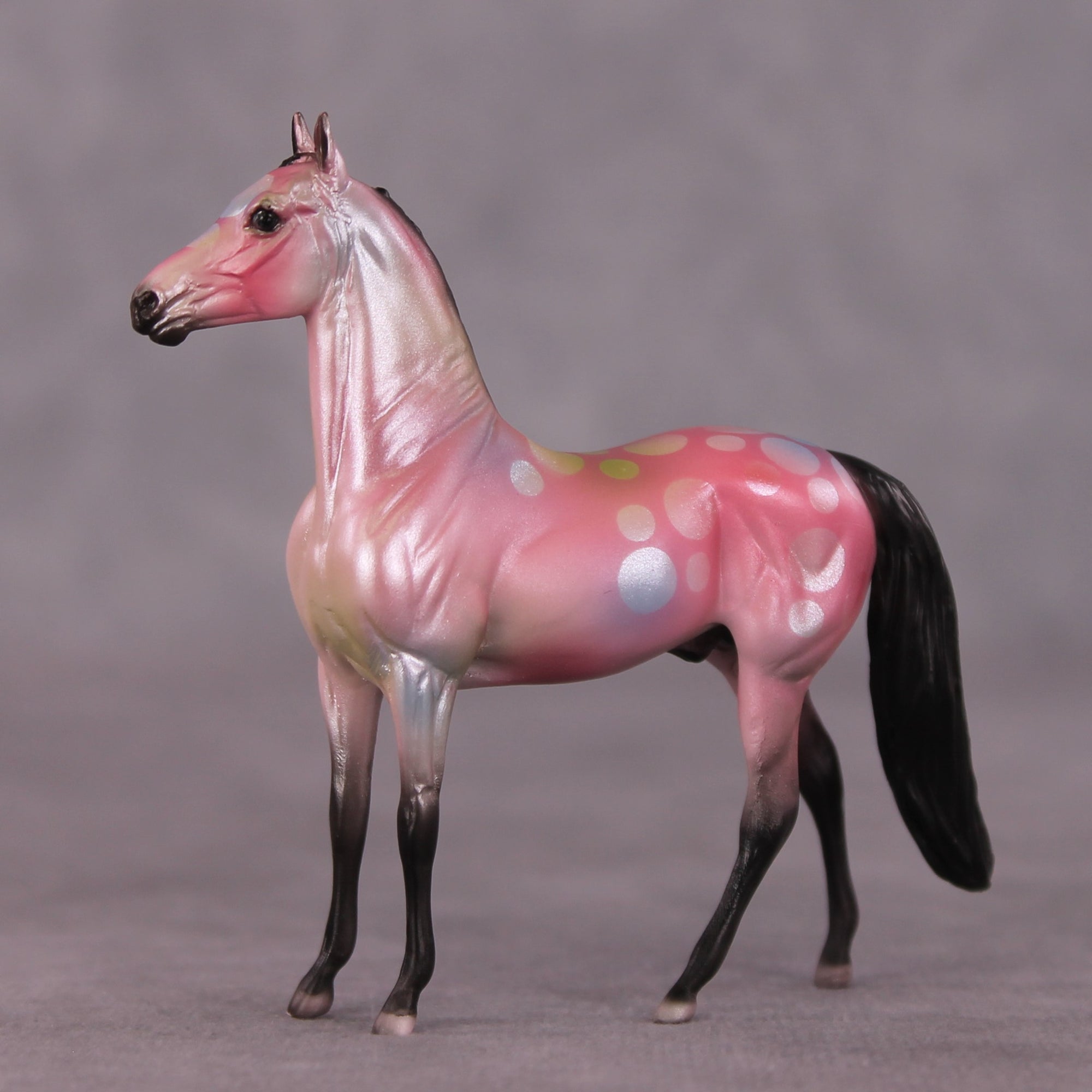 "Sloanie" OOAK Morgan Chip by Dawn Quick SHCF25