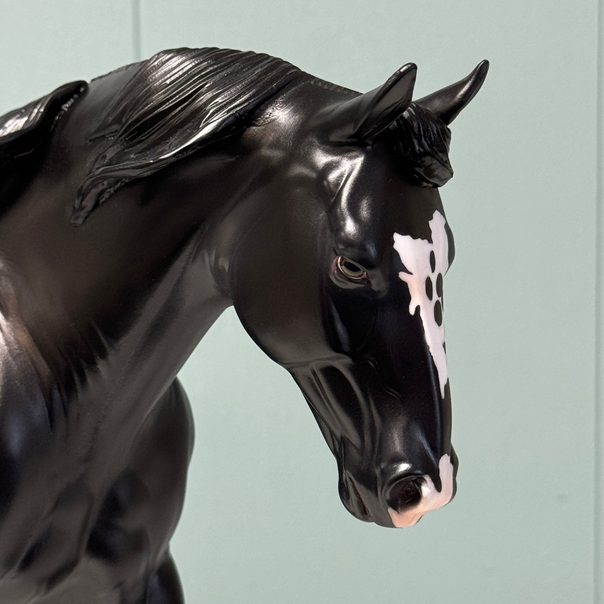 Extrasolar OOAK Black Appaloosa Irish Draught By Jess Hamill EQ24