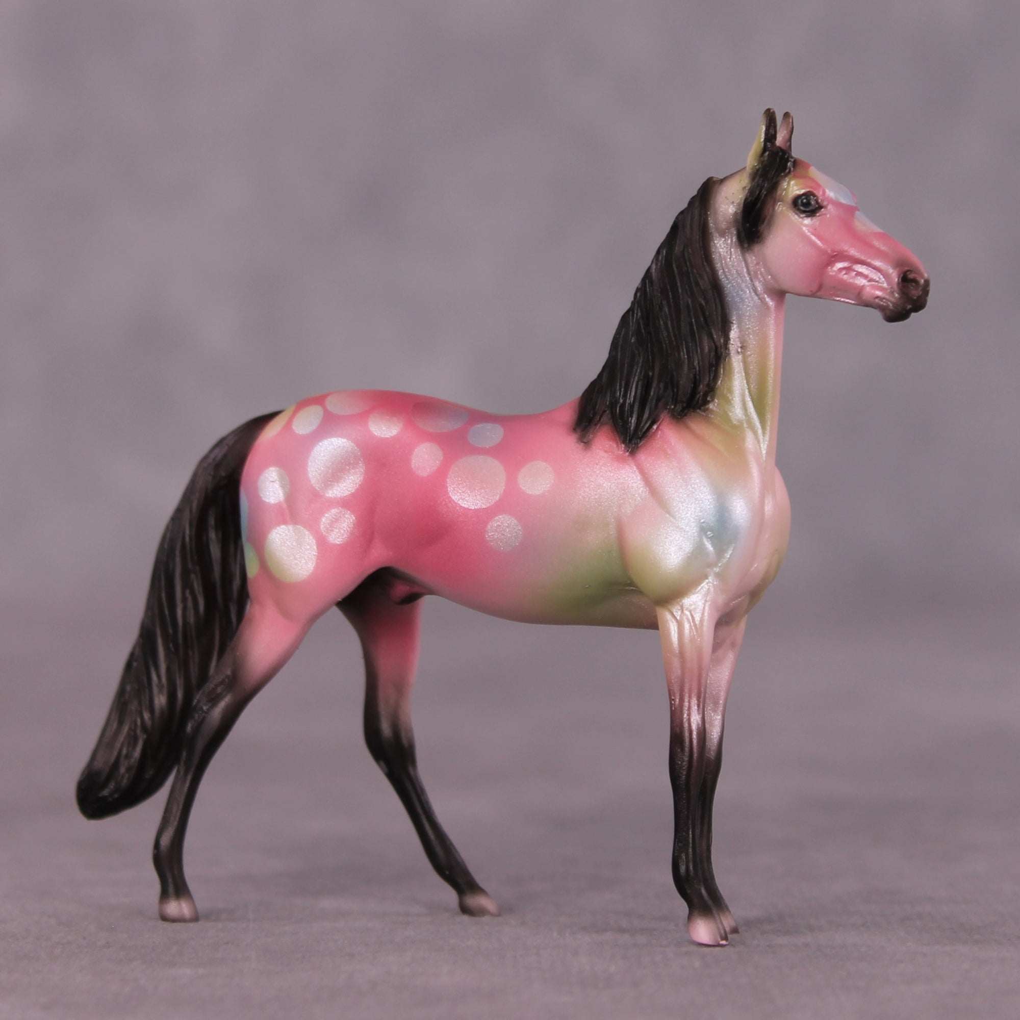 "Sloanie" OOAK Morgan Chip by Dawn Quick SHCF25