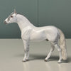 Noble OOAK Dapple Grey Andalusian Chip By Andrea Thomason EQ24