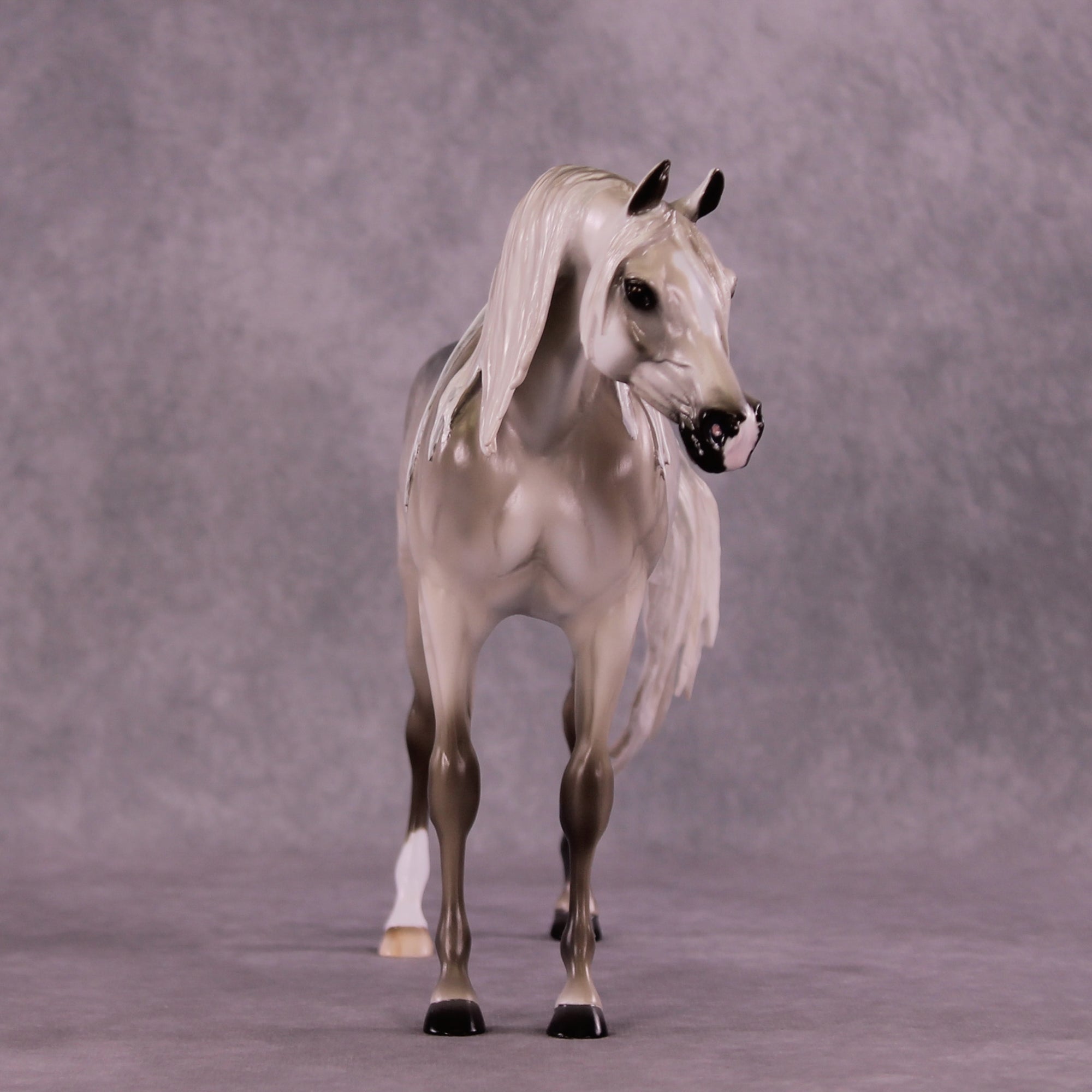 Morafico OOAK EFCM Arabian Stallion by Tiffany Purdy SS925
