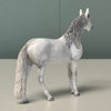 Noble OOAK Dapple Grey Andalusian Chip By Andrea Thomason EQ24