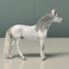 Noble OOAK Dapple Grey Andalusian Chip By Andrea Thomason EQ24