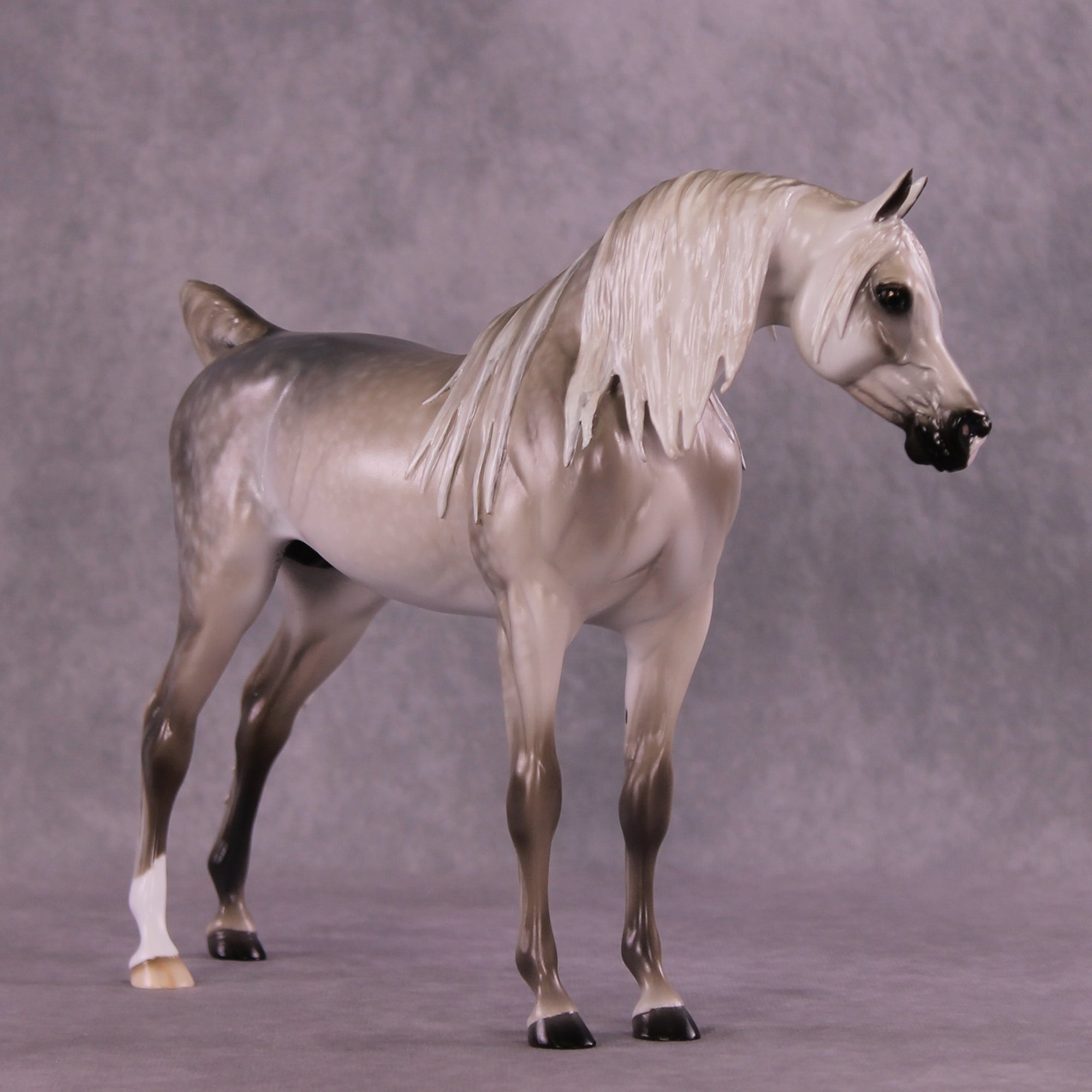 Morafico OOAK EFCM Arabian Stallion by Tiffany Purdy SS925