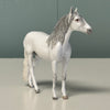 Noble OOAK Dapple Grey Andalusian Chip By Andrea Thomason EQ24