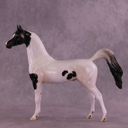Stewart OOAK FCM Arabian Stallion by Jess Hamill DDOOAKs25
