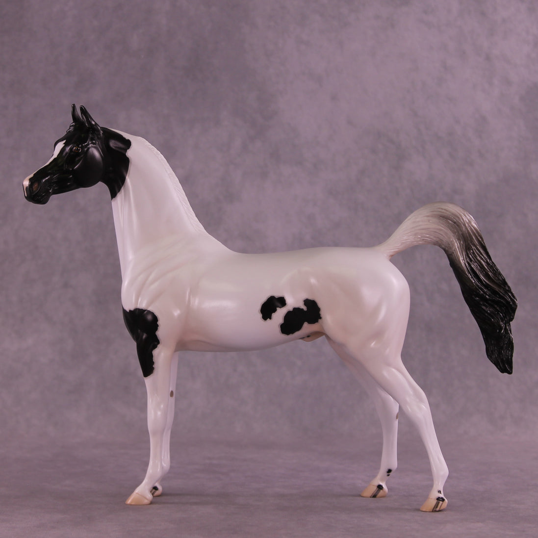 Stewart OOAK FCM Arabian Stallion by Jess Hamill DDOOAKs25