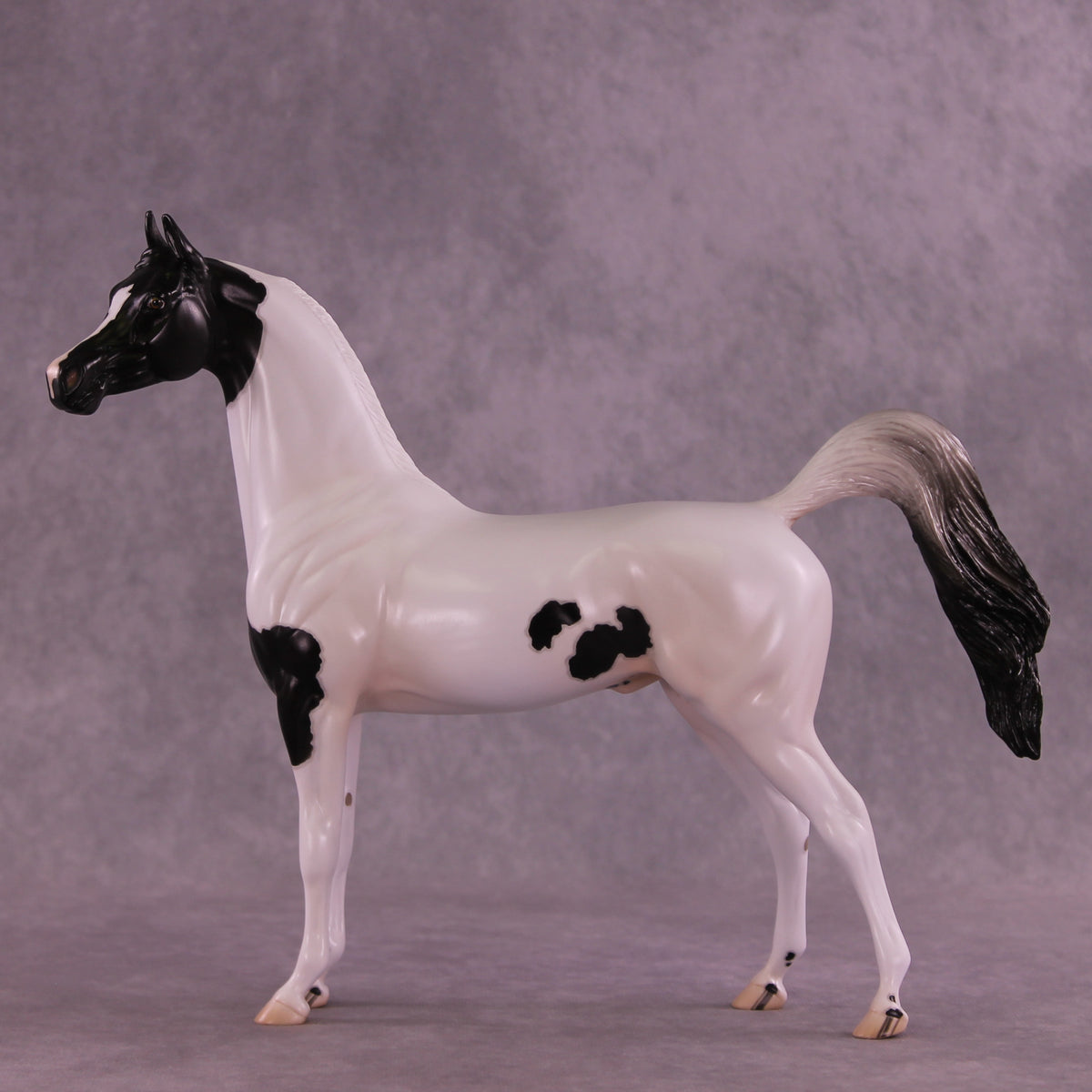 Stewart OOAK FCM Arabian Stallion by Jess Hamill DDOOAKs25