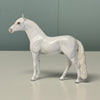 Courage OOAK Dapple Grey Andalusian Chip By Andrea Thomason EQ24