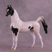 Stewart OOAK FCM Arabian Stallion by Jess Hamill DDOOAKs25
