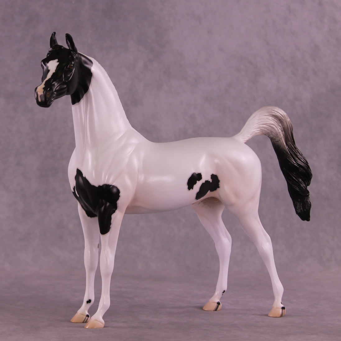 Stewart OOAK FCM Arabian Stallion by Jess Hamill DDOOAKs25