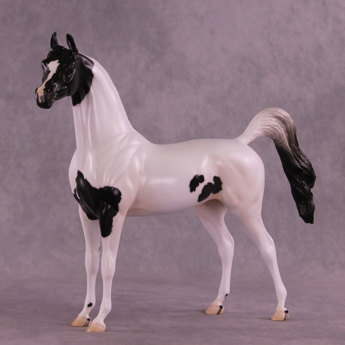 Stewart OOAK FCM Arabian Stallion by Jess Hamill DDOOAKs25