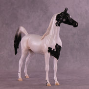 Stewart OOAK FCM Arabian Stallion by Jess Hamill DDOOAKs25