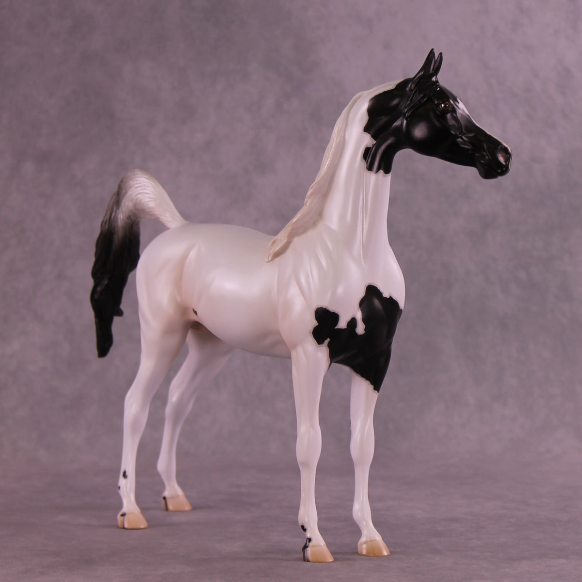 Stewart OOAK FCM Arabian Stallion by Jess Hamill DDOOAKs25