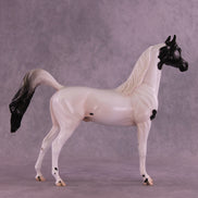 Stewart OOAK FCM Arabian Stallion by Jess Hamill DDOOAKs25